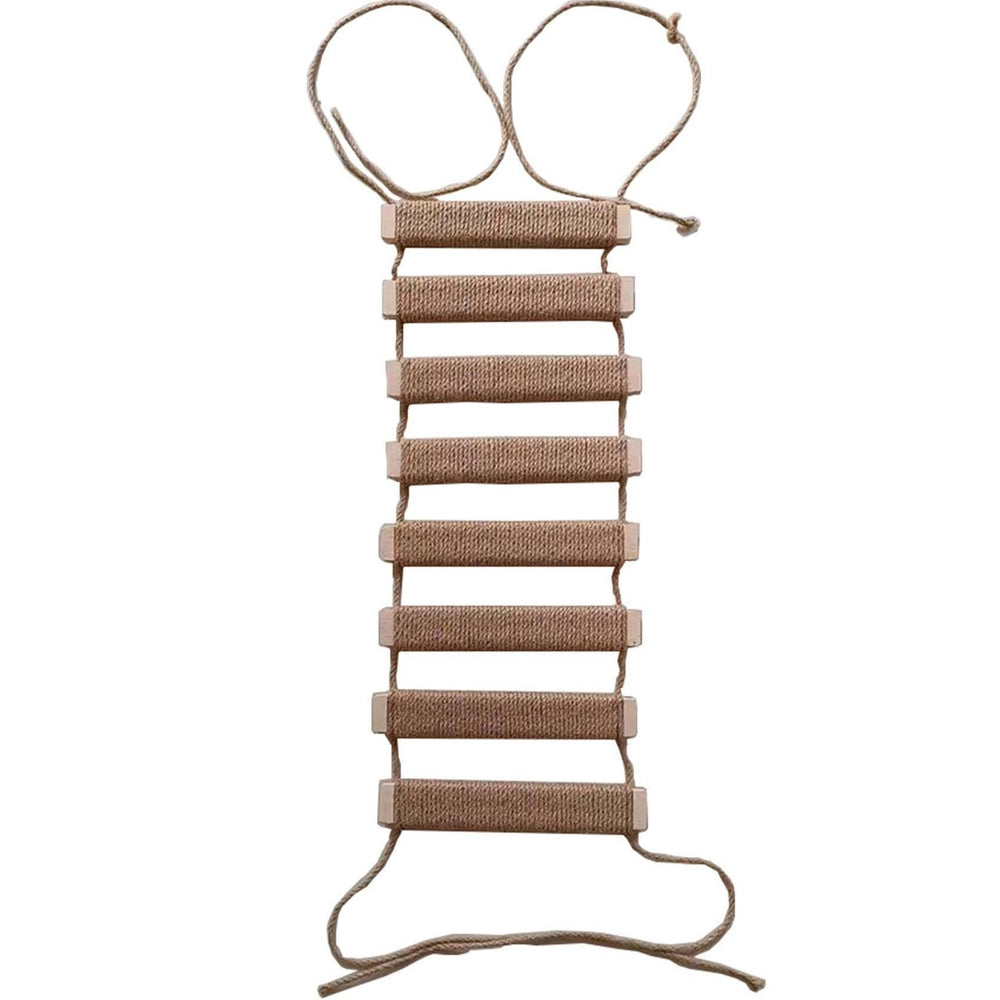 AGRICUE puente-pared-gatos: puente seguro para explorar y entretener a tu gato.