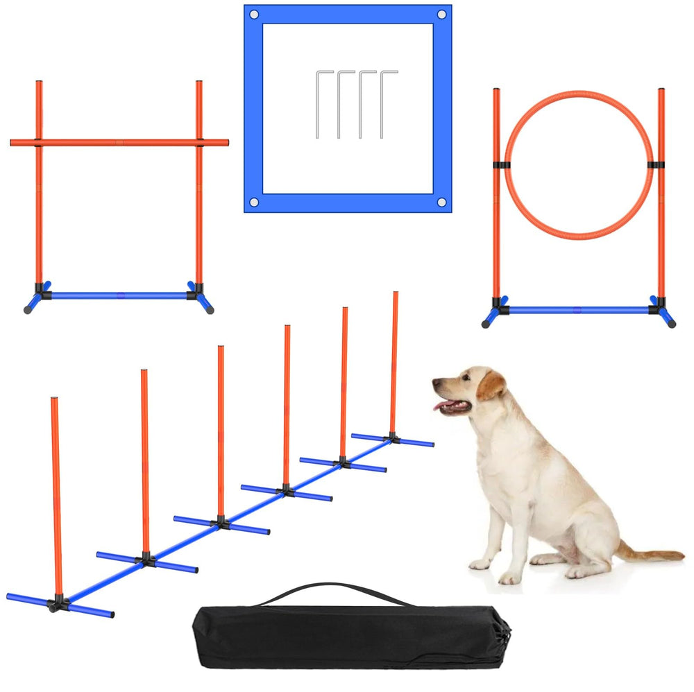 AHAILUOO aro-salto-perro: ritual de entrenamiento para mejorar coordinación y diversión en casa.