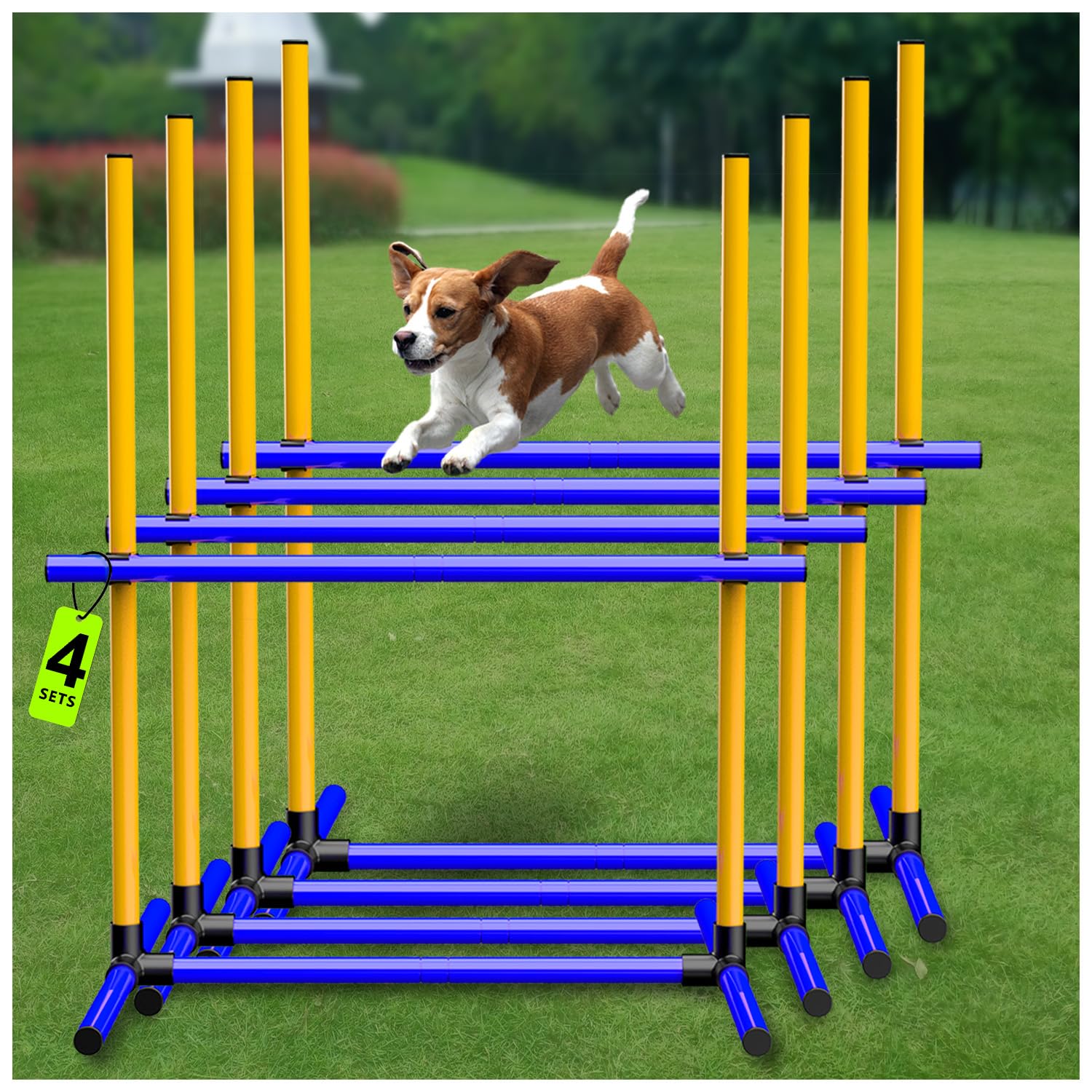 AHAILUOO Barra de ajuste de altura para perro, ideal para entrenar en casa.