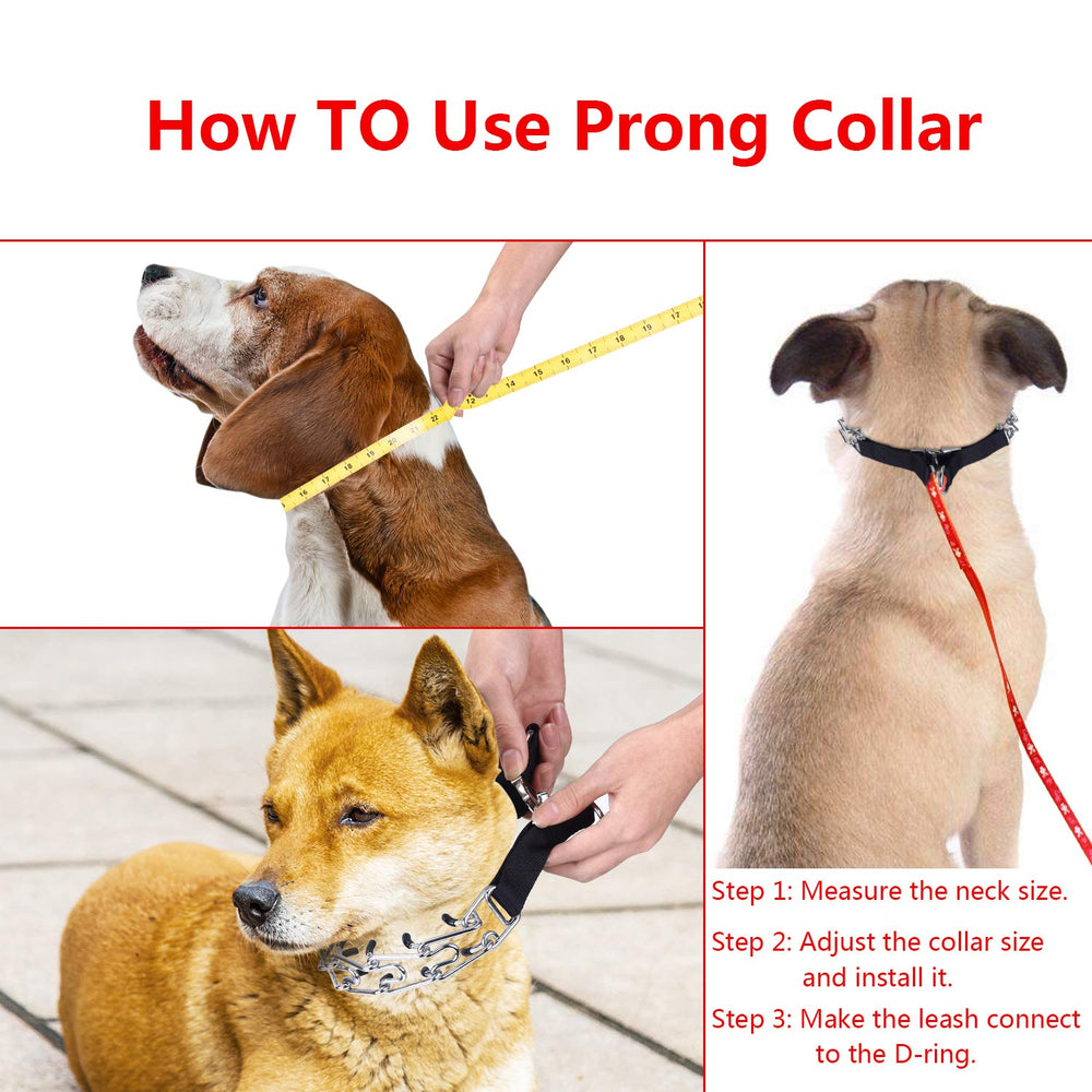 Dos aros en D en collar Aheasoun ofrecen conexión estable