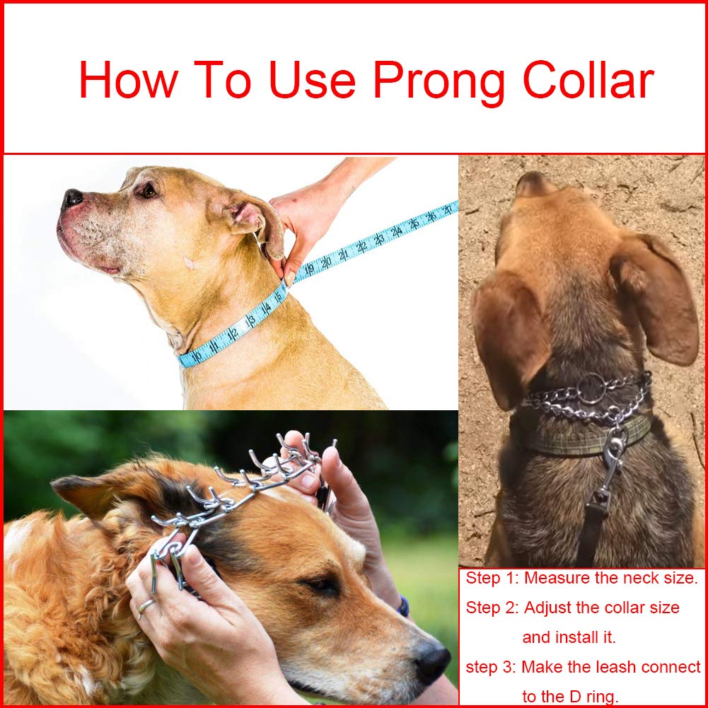 Collar de púas Aheasoun de uso rápido y fácil de colocar