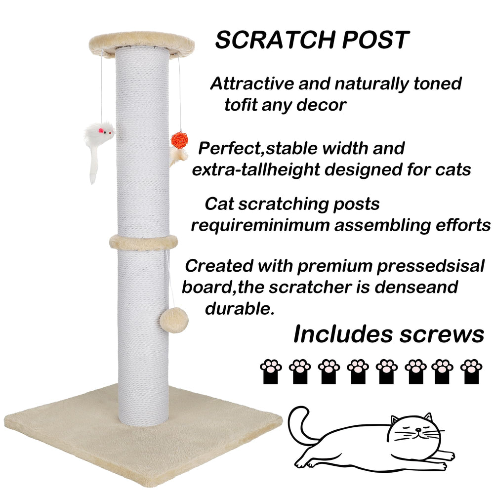 Uso versátil en varias habitaciones con Ahomdoo, ideal para gatos grandes