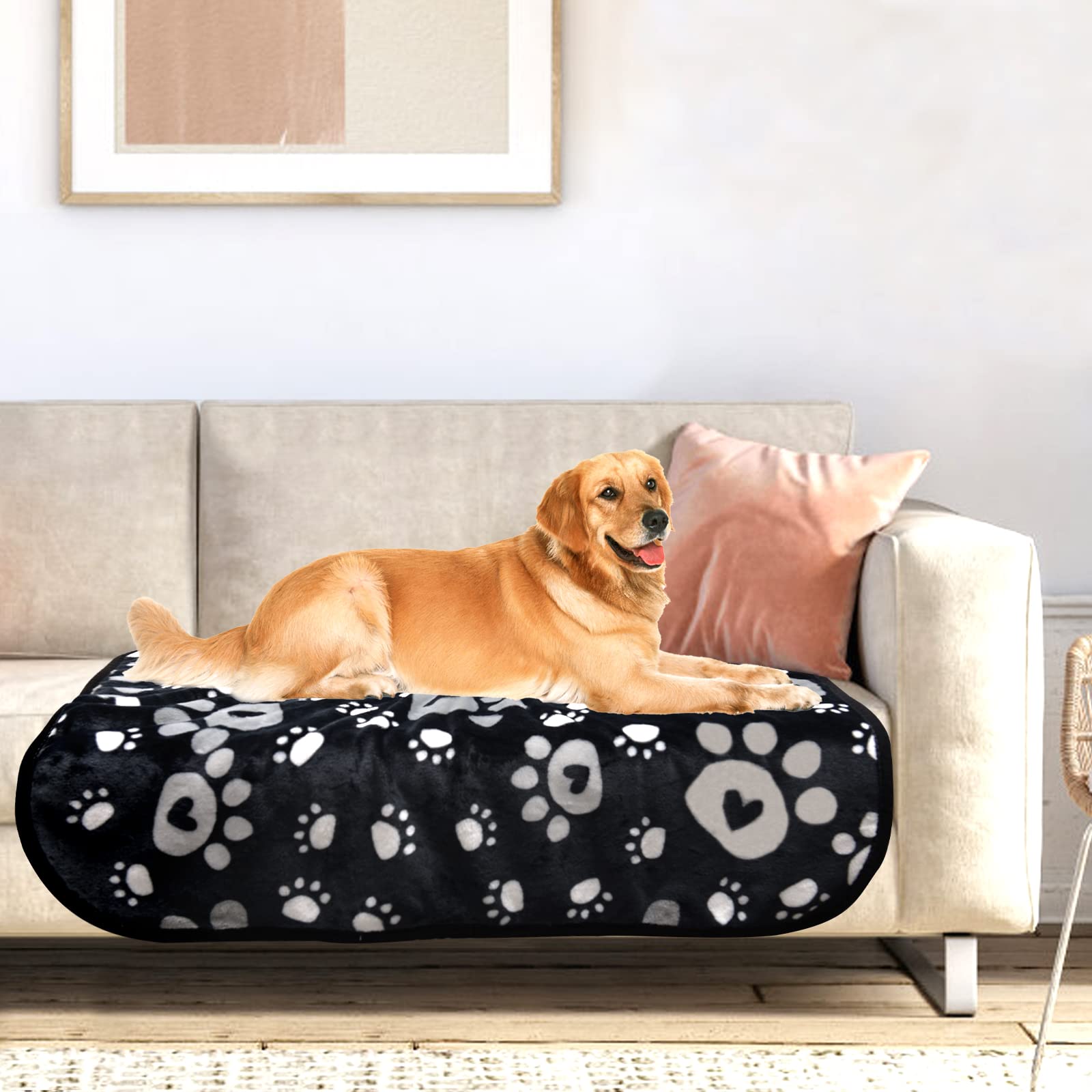Manta AHOOCUSTOM para descanso diario de tu perro.