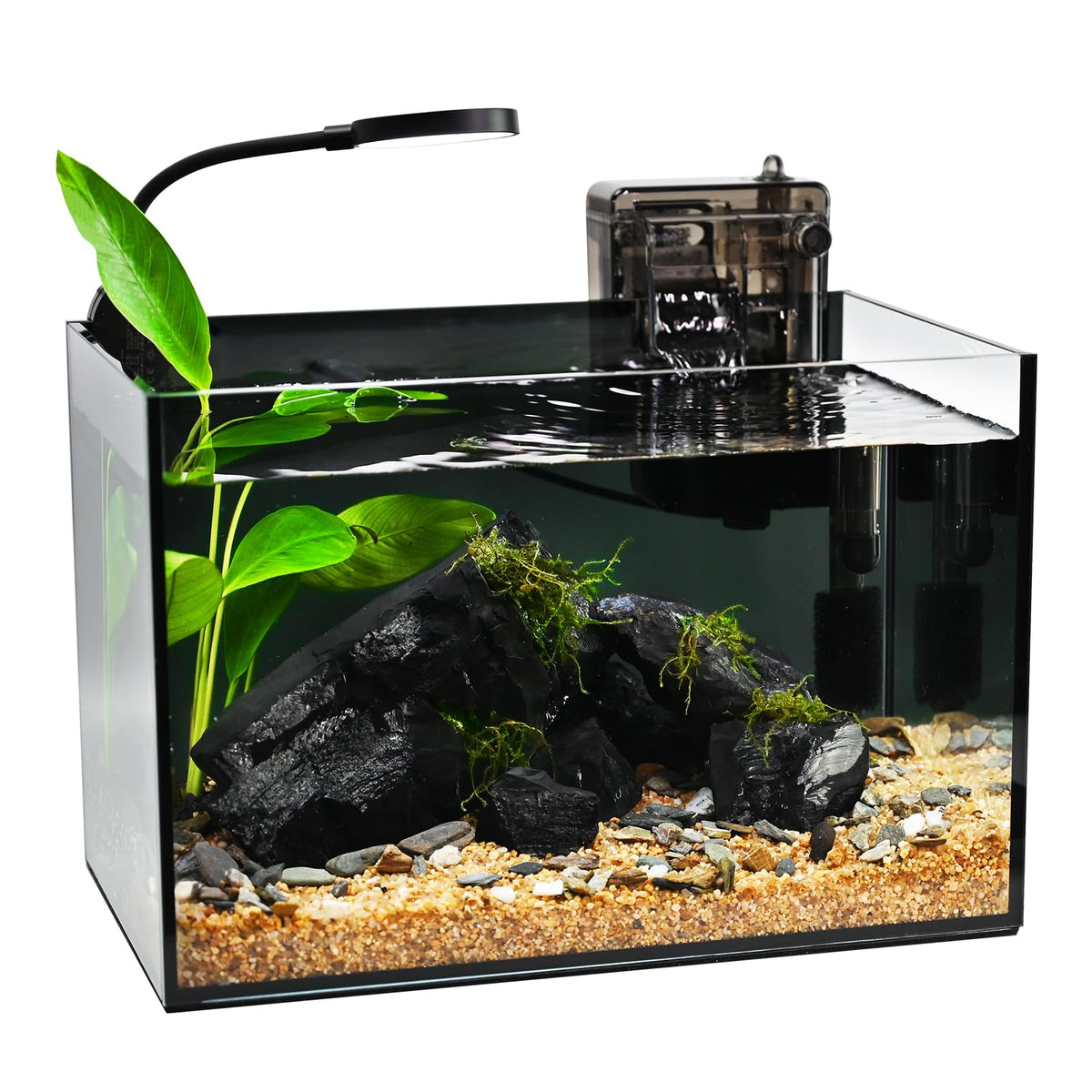Pecera nano Ahua Walsong con iluminación integrada para visualizar peces y plantas.