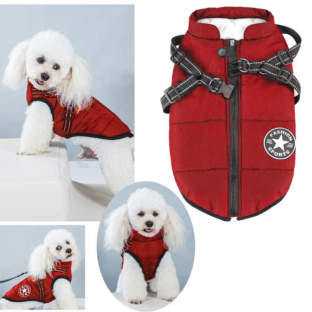 Aiboria uso exterior invernal, ideal para paseos diarios bajo lluvia o nieve