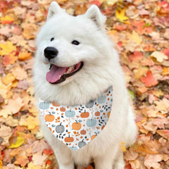 Bandana aienssfwe de diseño doble cara, dos looks en una.
