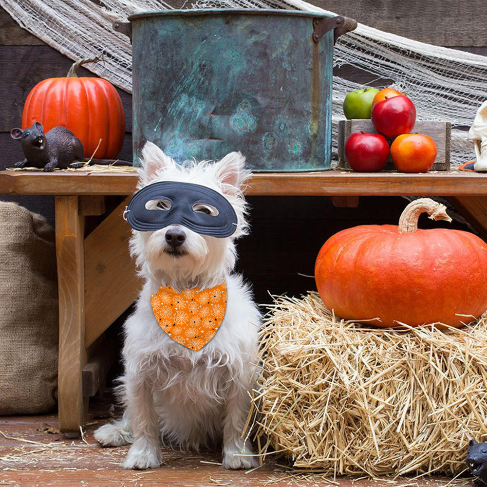 Bandana aienssfwe con arañas para perro, estilo festivo.