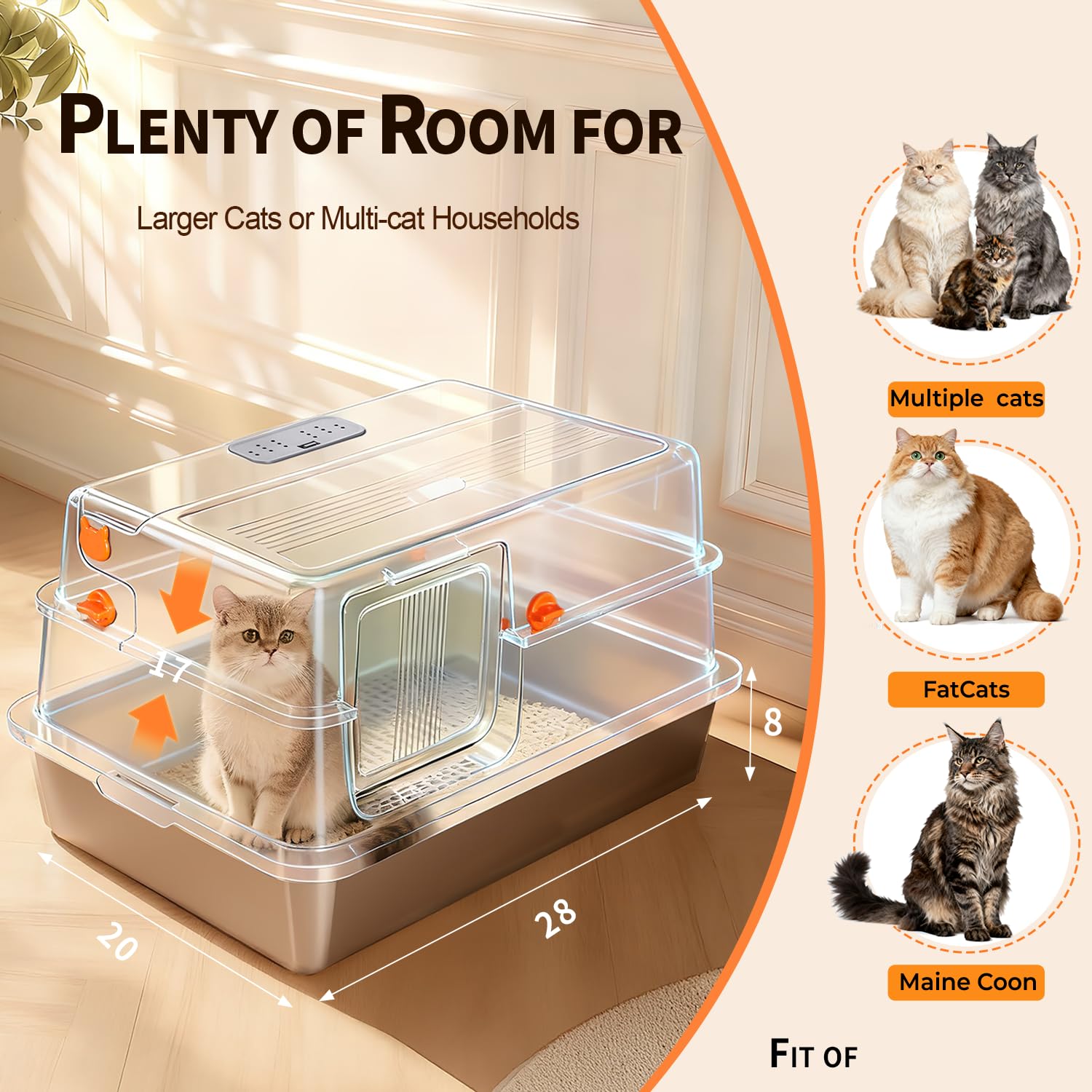 Interior espacioso de la caja AIFUN para varios gatos y juego cómodo
