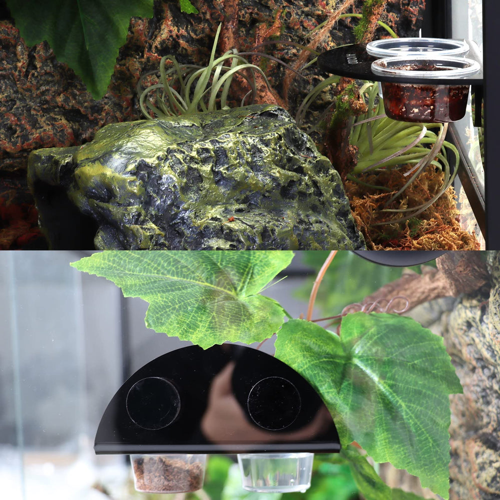Aiicioo Gecko Feeder Ledge: cuencos transparentes para monitorizar ingesta diaria.