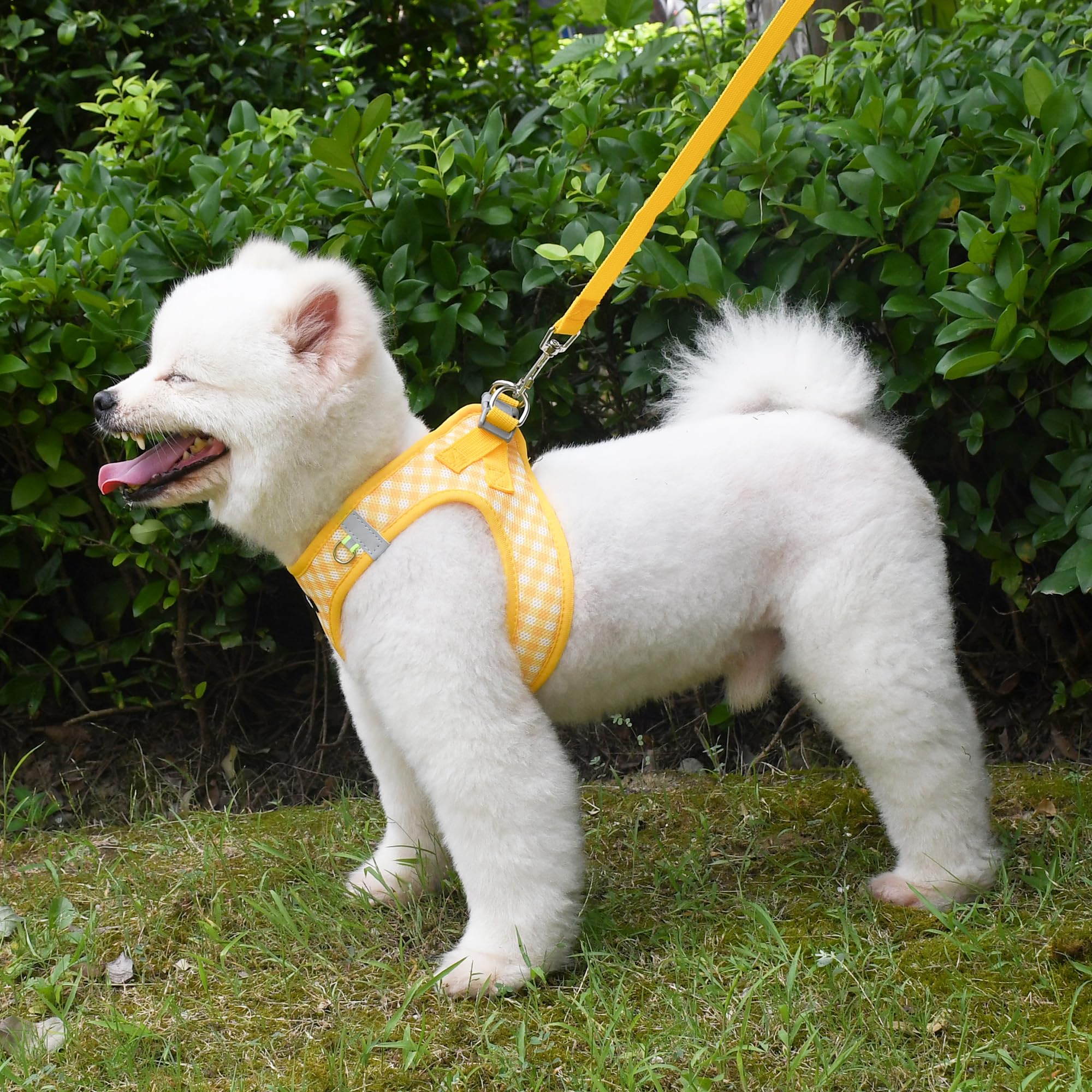 Arnés para perros y gatos pequeños o medianos, color amarillo.