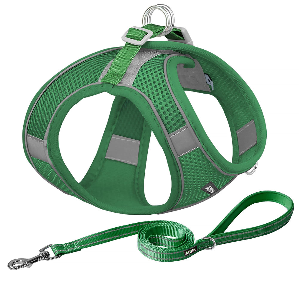 Aiitle arnés para perro sin tirón ajustable con malla de aire verde para paseos.