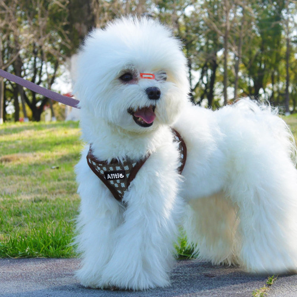 Aiitle arnés cómodo para perros pequeños y medianos, mejora la experiencia diaria.