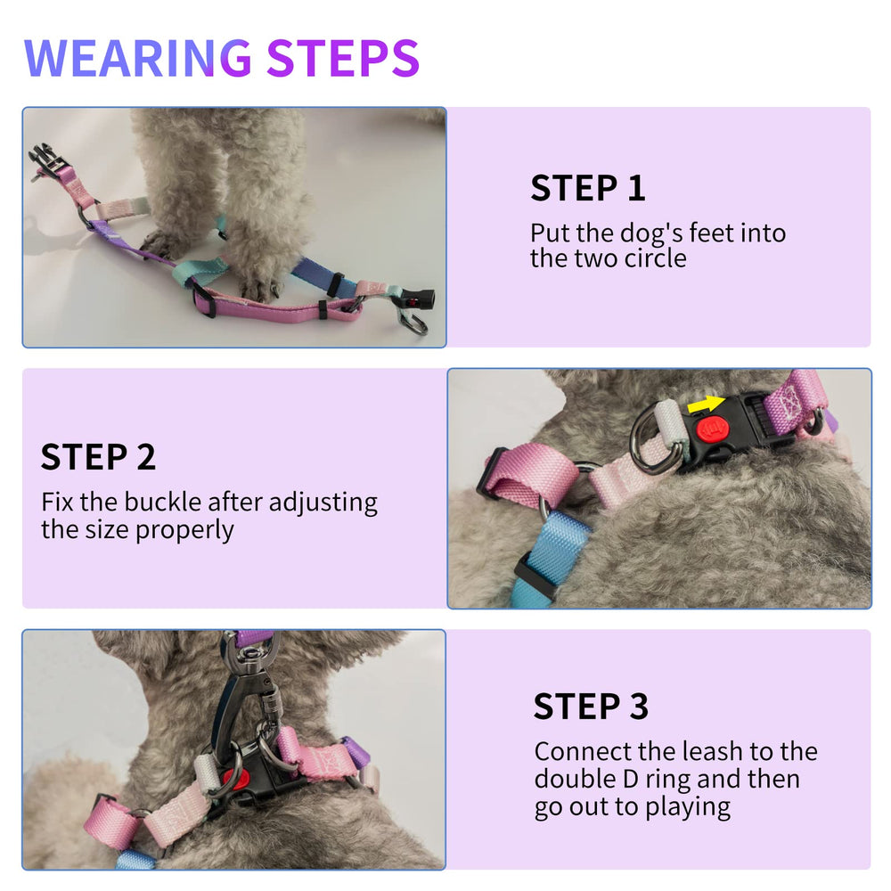Aiitle conjunto arnés-correa-collar, estilo rosa gradiente para viaje.