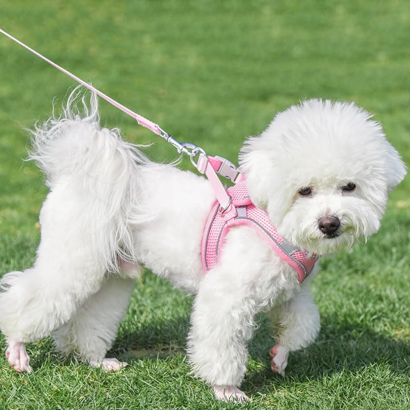 Diseño malla sándwich transpirable mantiene al perro fresco durante paseos largos.