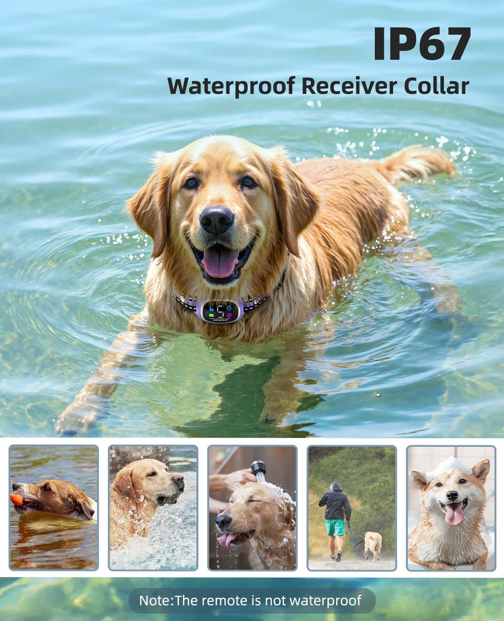 AIKEEP collar ajuste nylon seguro: correa cómoda para perros de todos tamaños.