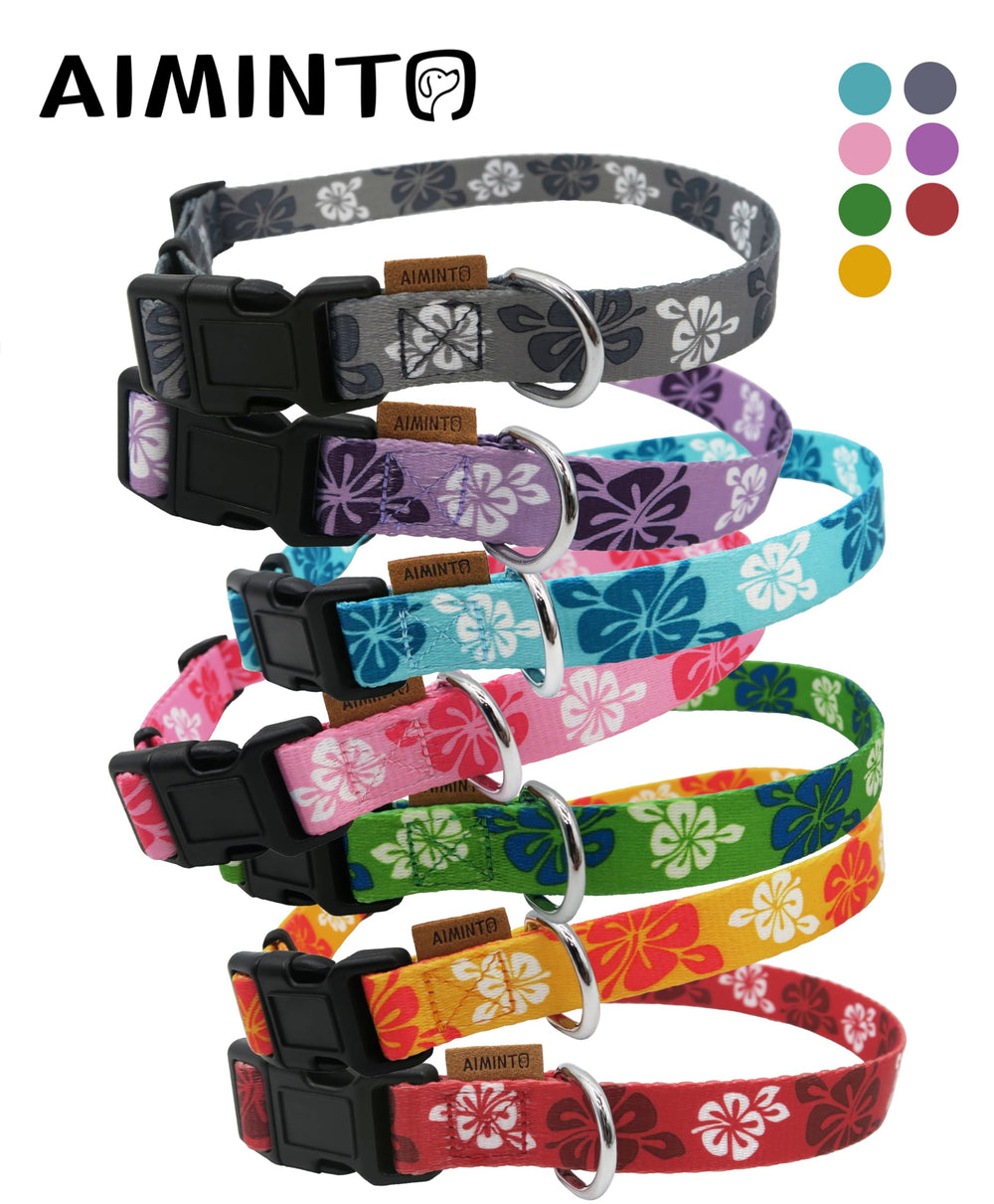 Aiminto collar ligero y resistente, ideal para salidas largas.