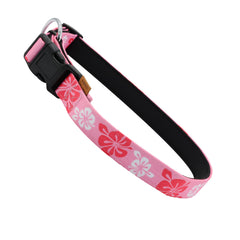 Collar Aiminto con patrón floral y neopreno acolchado para paseos cómodos.