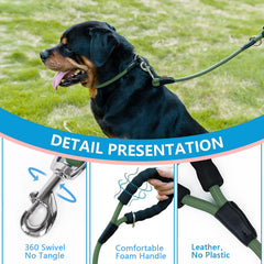 Aiminto correa para perros en paseo, diseño versátil.