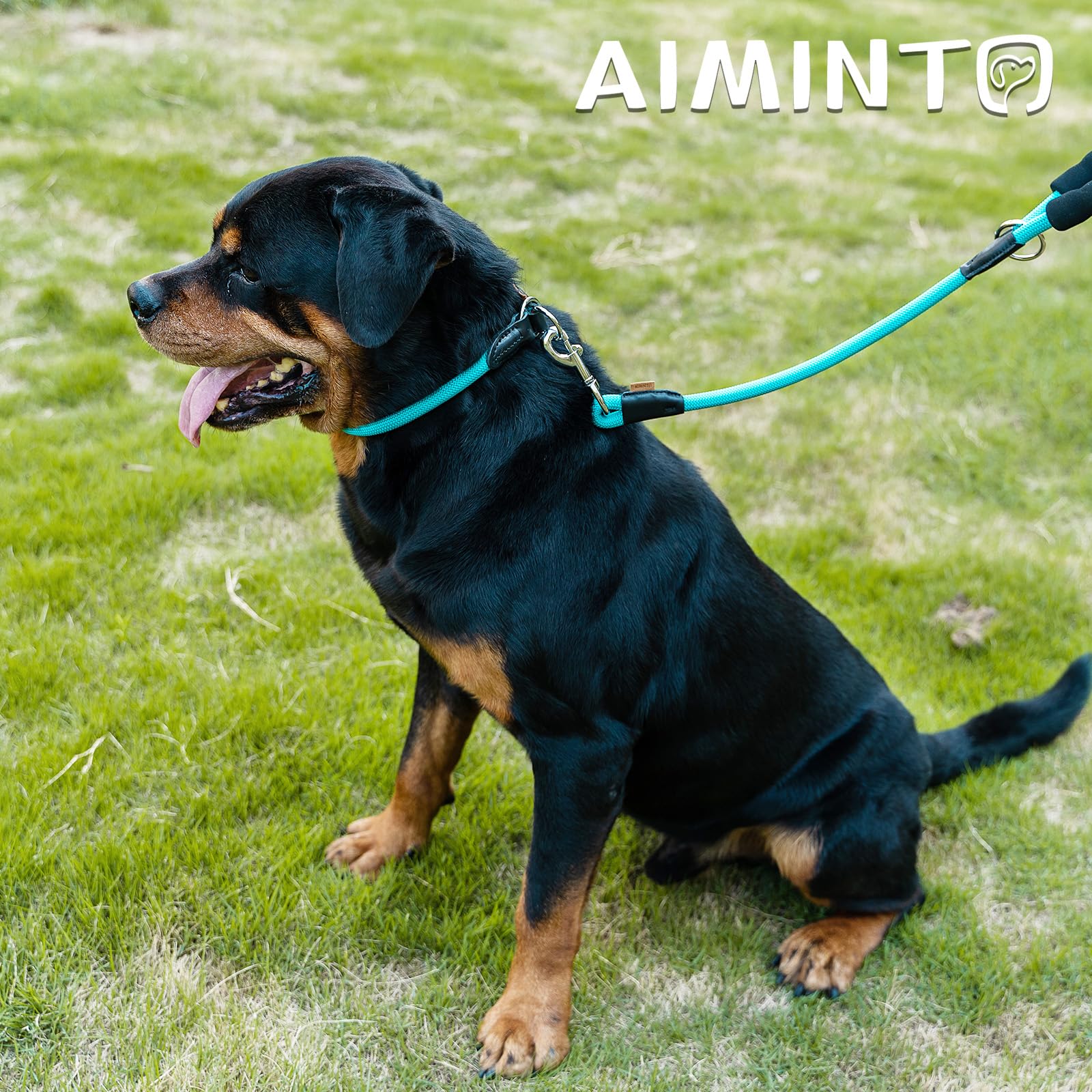 Correa Aiminto para perros de talla mediana a grande, ideal para entrenamiento y paseos.