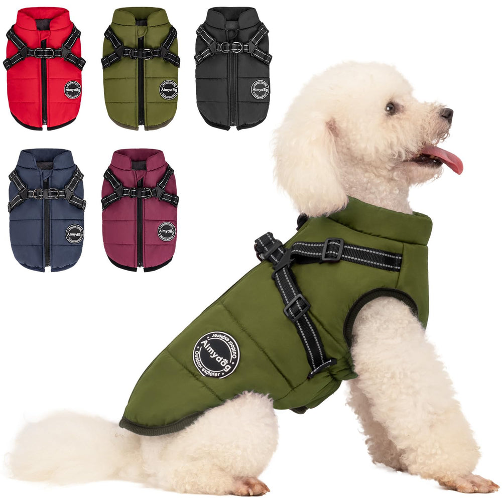 AIMYDOG abrigo con arnés incorporado, perfecto para paseos nocturnos.