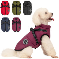 Aimydog chaleco con correa incorporada, para paseos seguros en clima frío.