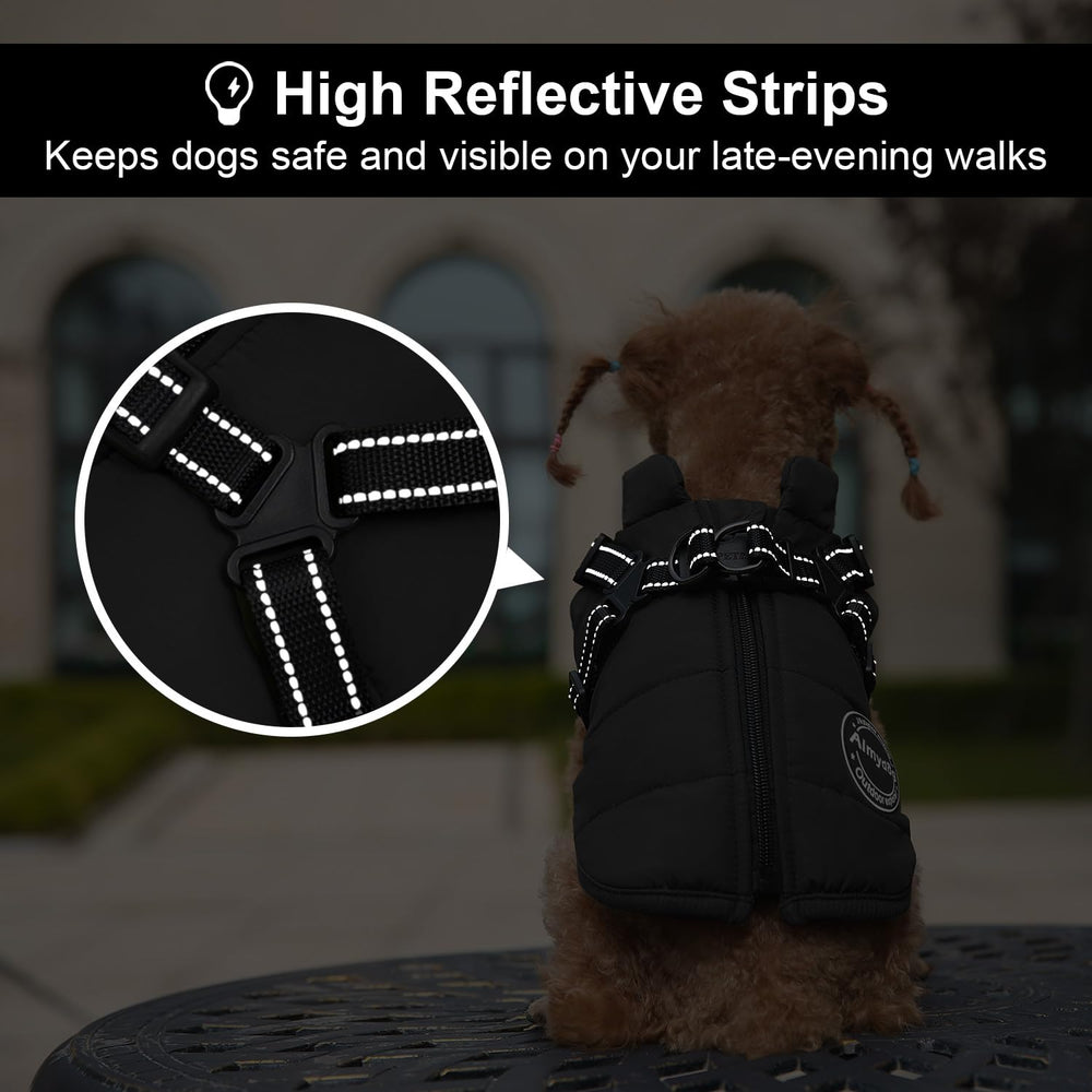 Aimydog reflectivo, seguridad nocturna para paseos con poca visibilidad.