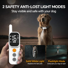 Collar AINSYLI con cuatro modos y luz LED para visibilidad nocturna