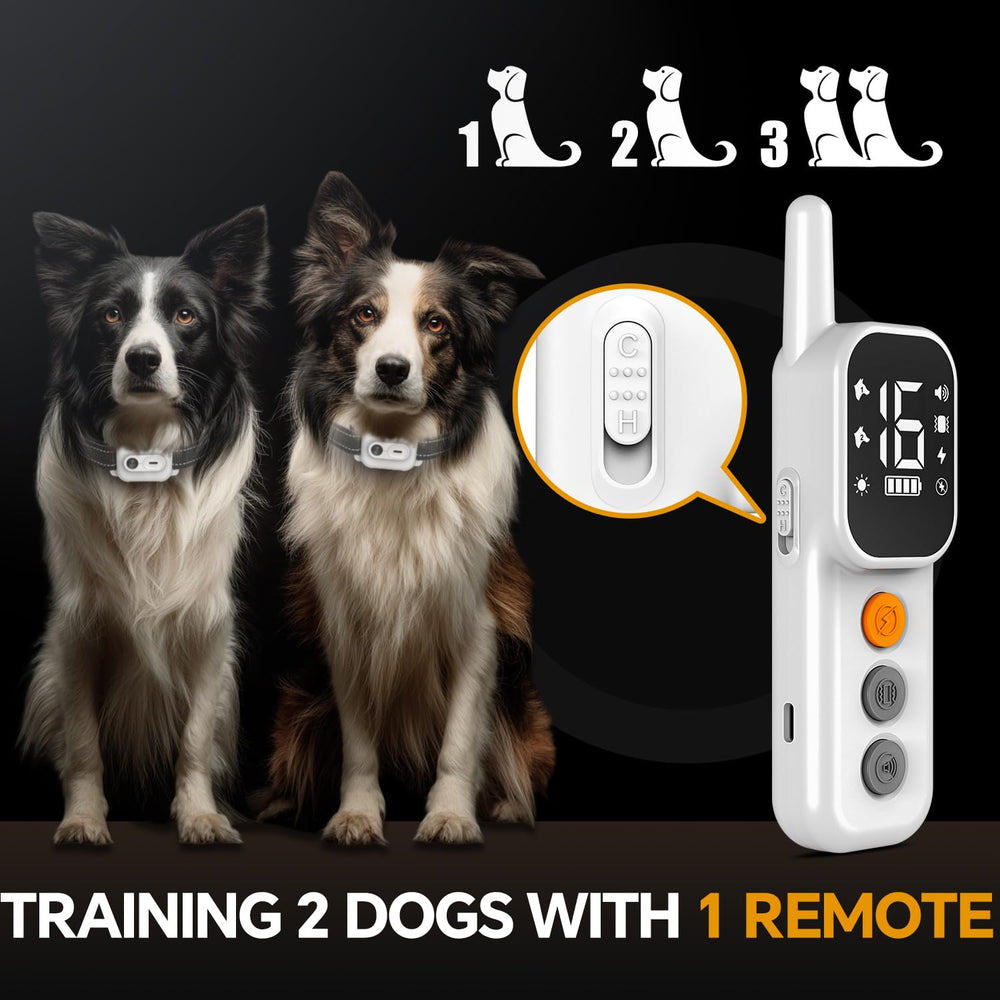 Control remoto AINSYLI con alcance de 3300 pies para entrenamiento al aire libre
