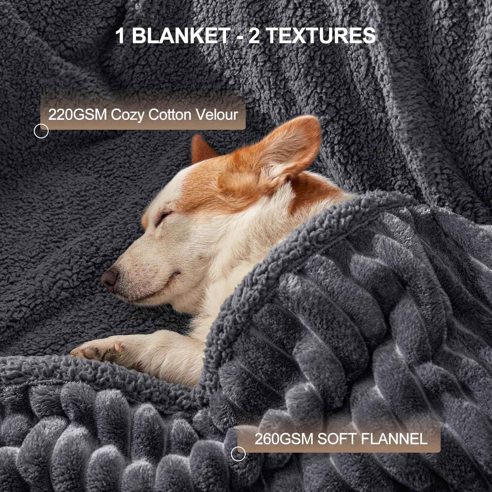 Ligera y portátil, ideal para viajar con tu mascota.
