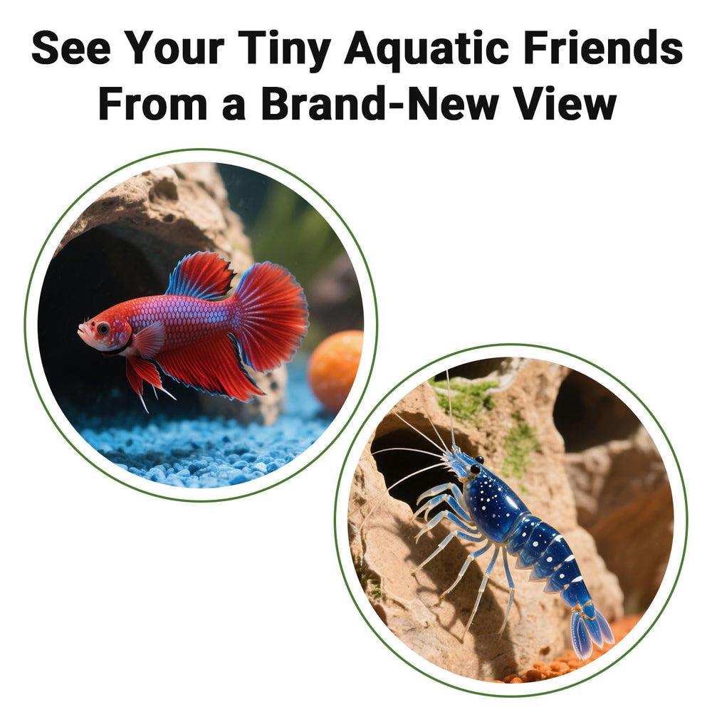 Aiqriwv dimensiones 5-1x5-1x2-8: ajuste perfecto para esquinas de acuario.