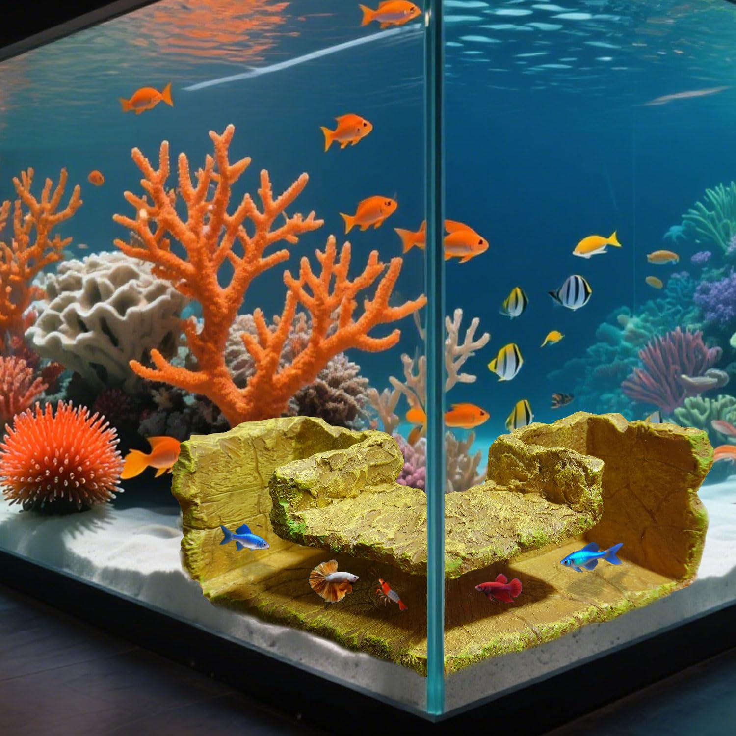 Aiqriwv entradas túnel doble 1-8x1-6: accesos amplios para peces pequeños.