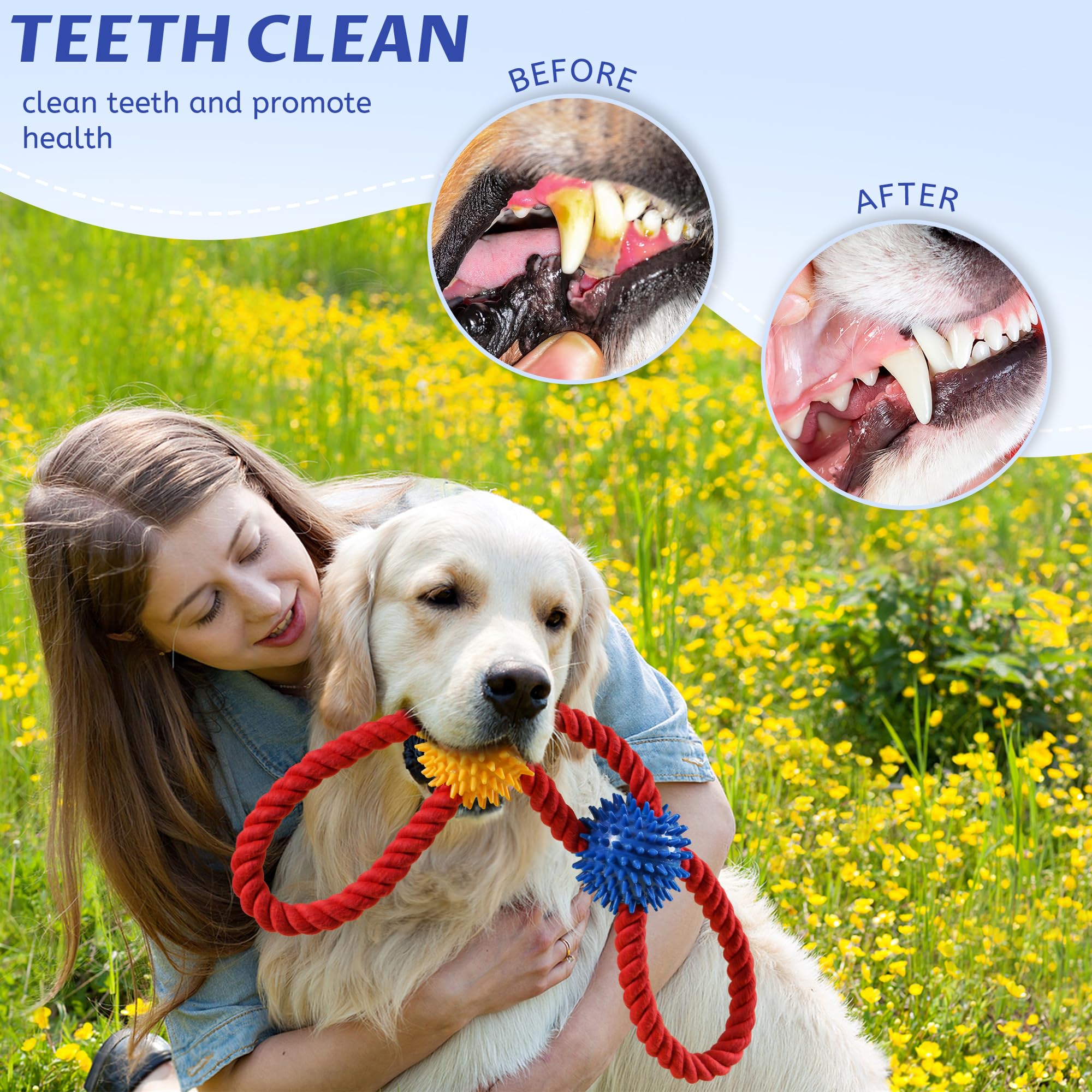 Aitmexcn durabilidad para mordedores: diseño resistente para perros activos