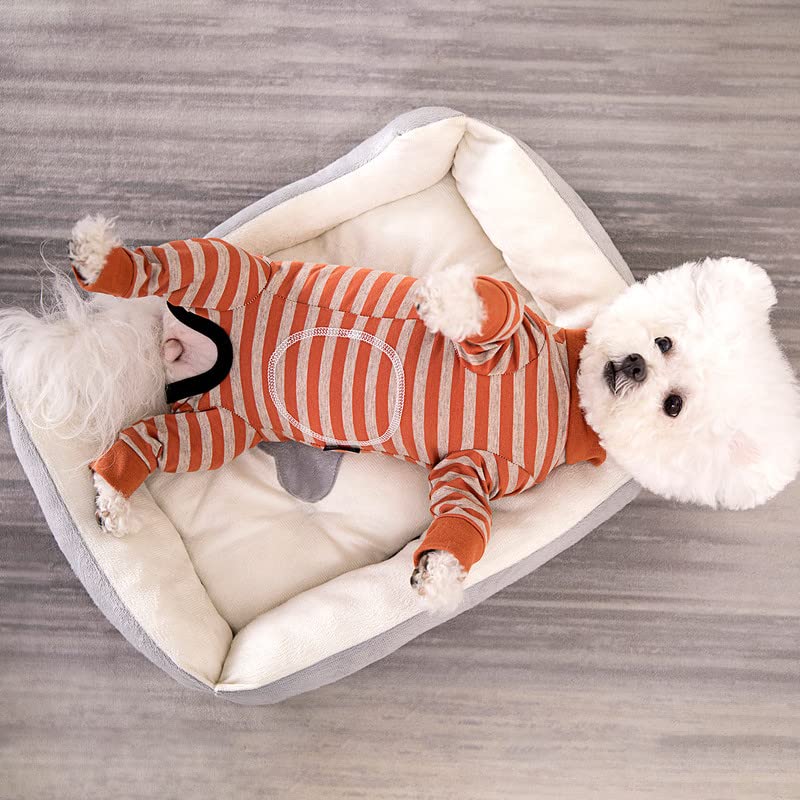AITOLI diseño abdomen, cuidado postoperatorio cómodo para perros