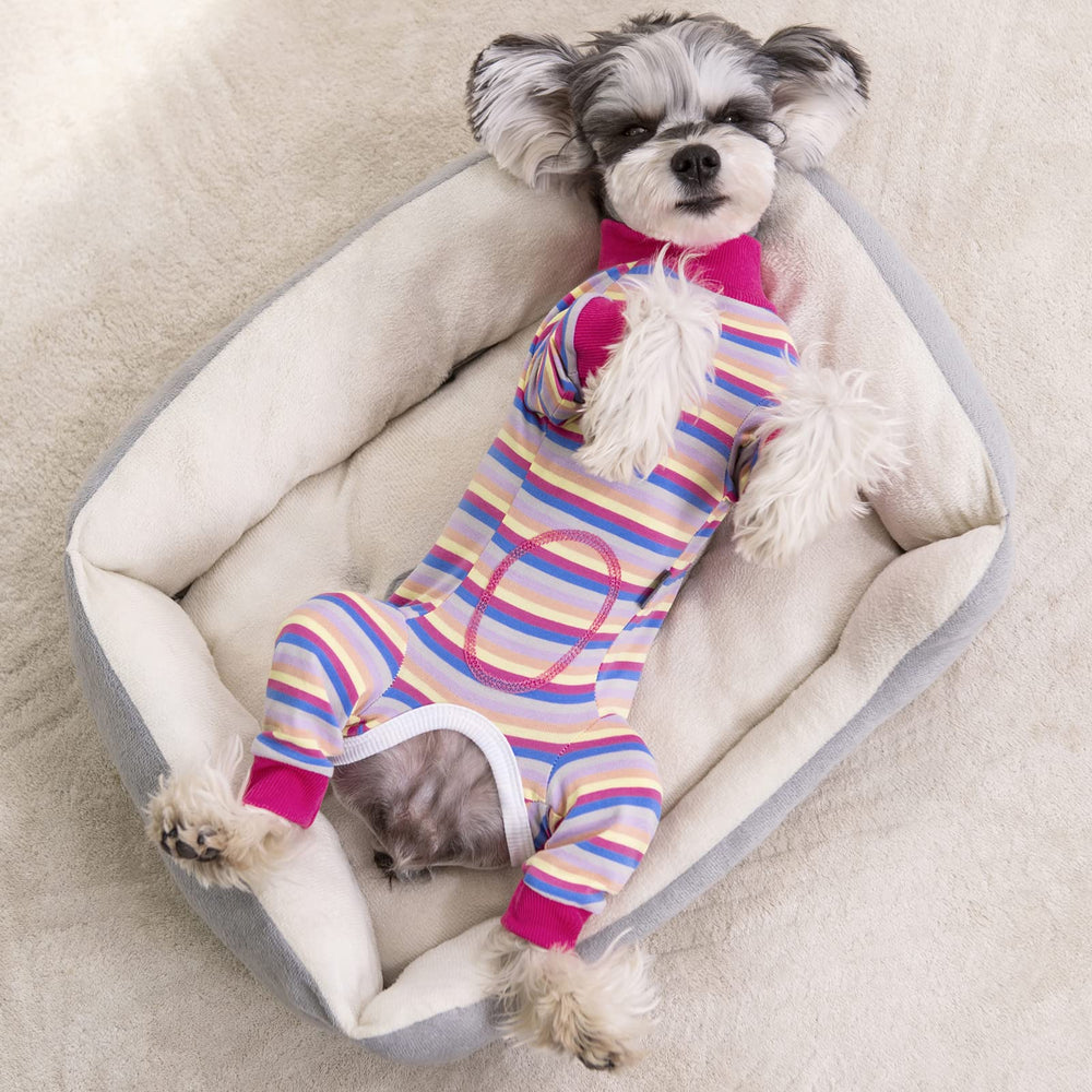 AITOLI mono recuperación perro rayas evita lamido, ideal para zonas sensibles.