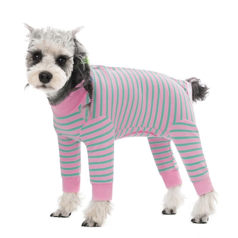AITOLI perro-rayado-recuperacion-frente: protege la zona superior para comodidad diaria