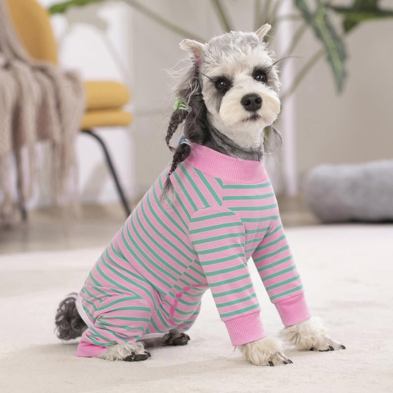 AITOLI perro-rayado-recuperacion-uso-diario: ideal para interiores y paseos supervisados