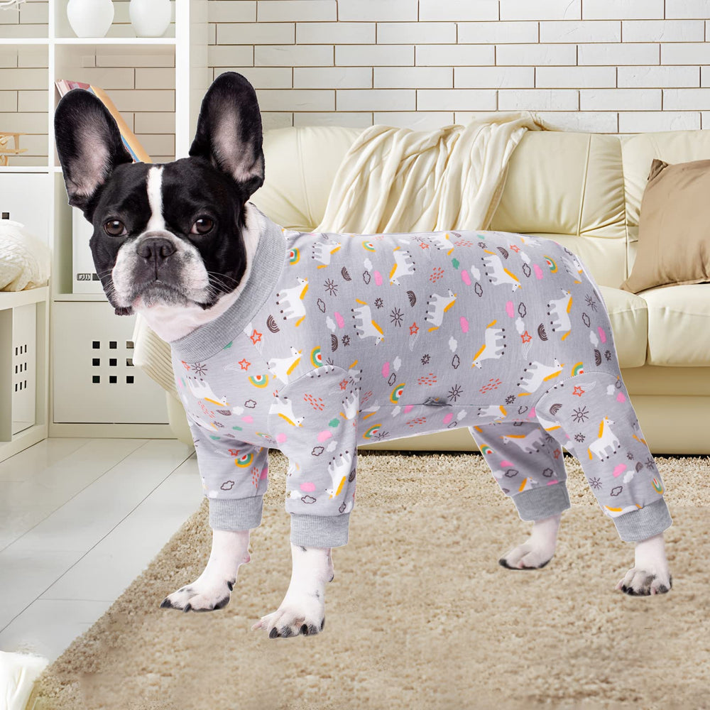 AITOLI traje con cremallera para perros - detalle trasero facilita vestir y quitar