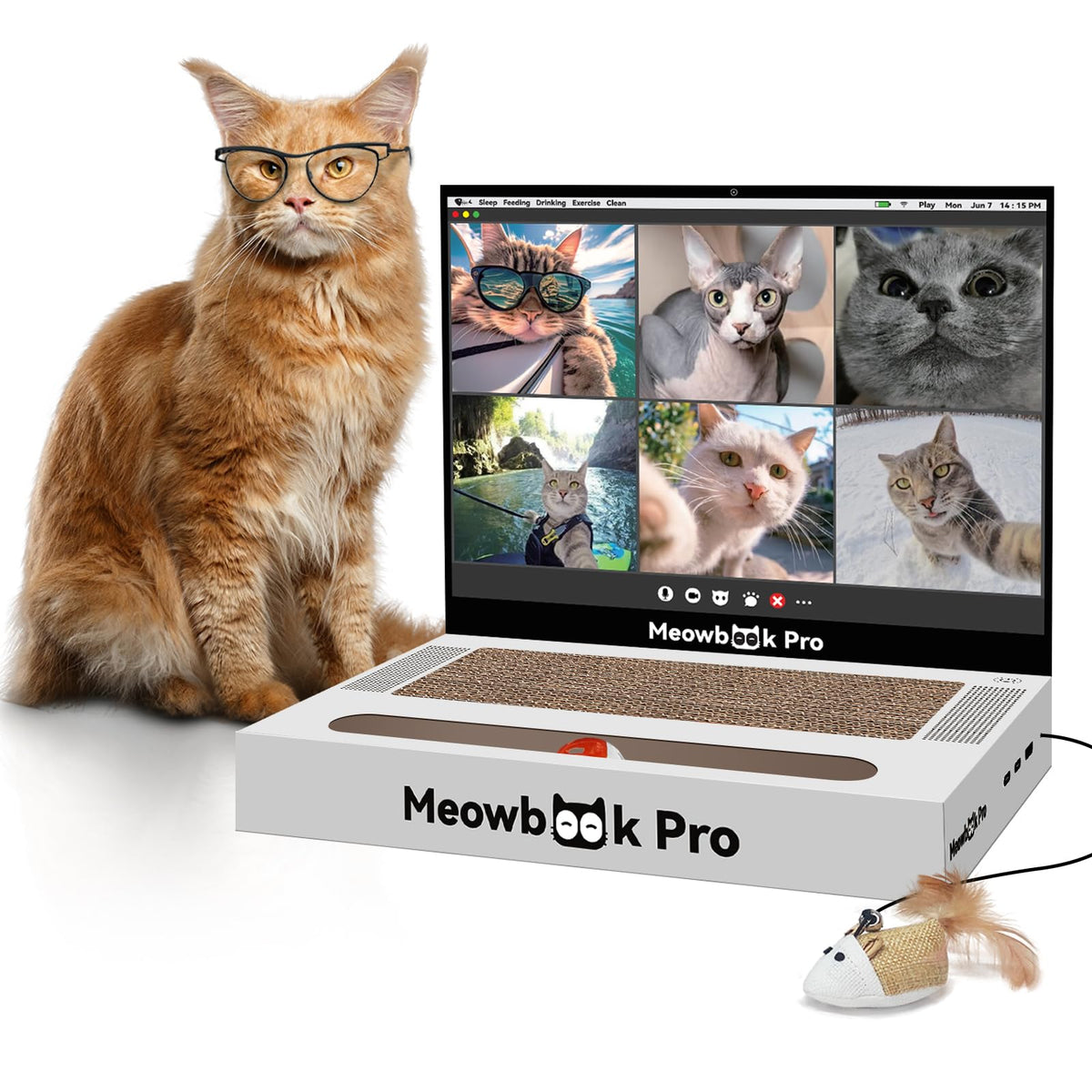 aiweiluck laptop-rascador-gato: rascador portátil para gatos que fomenta juego y descanso seguro.