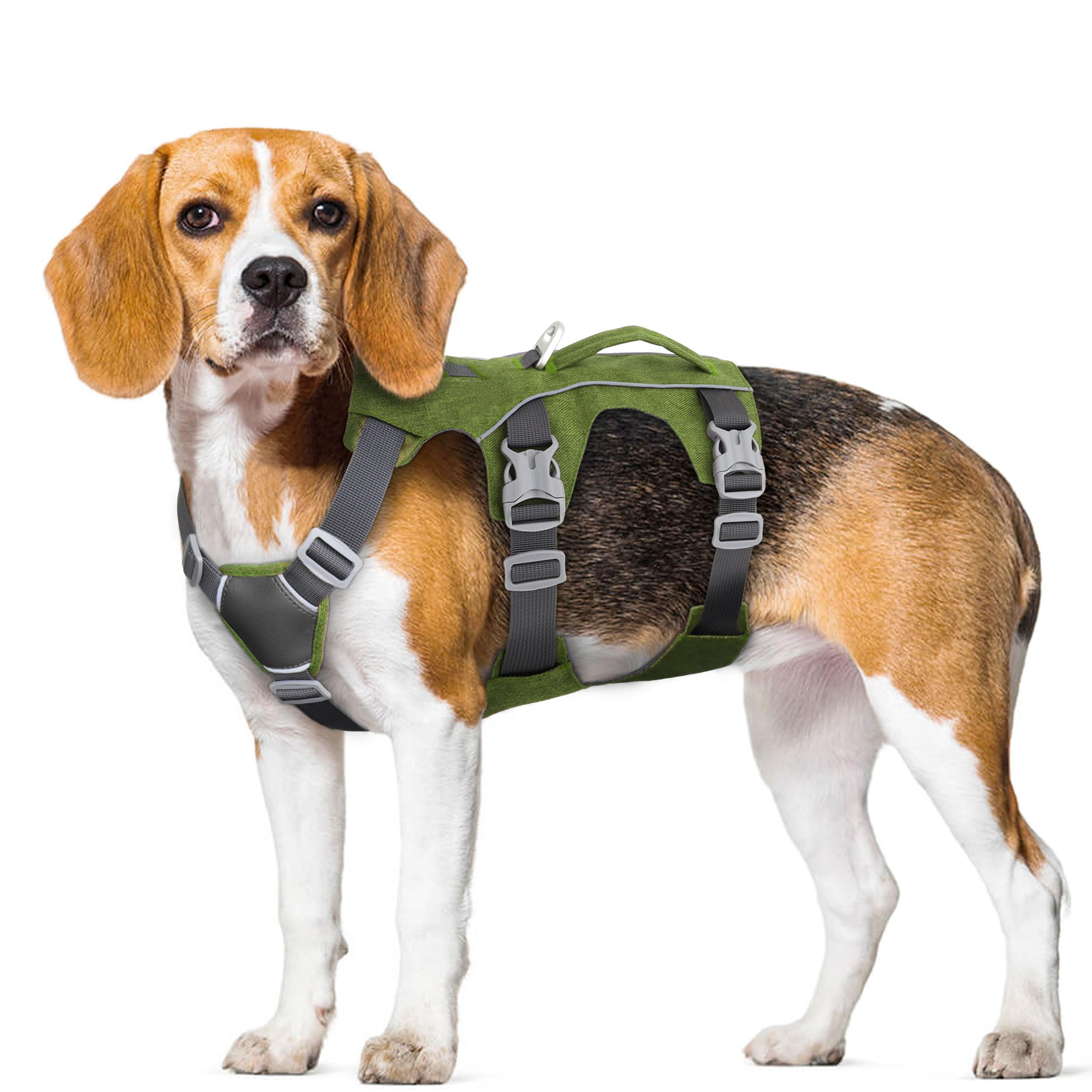 AKAILEA arnés-advertencia-tamano-xs indica tamaño XS no apto para perros pequeños