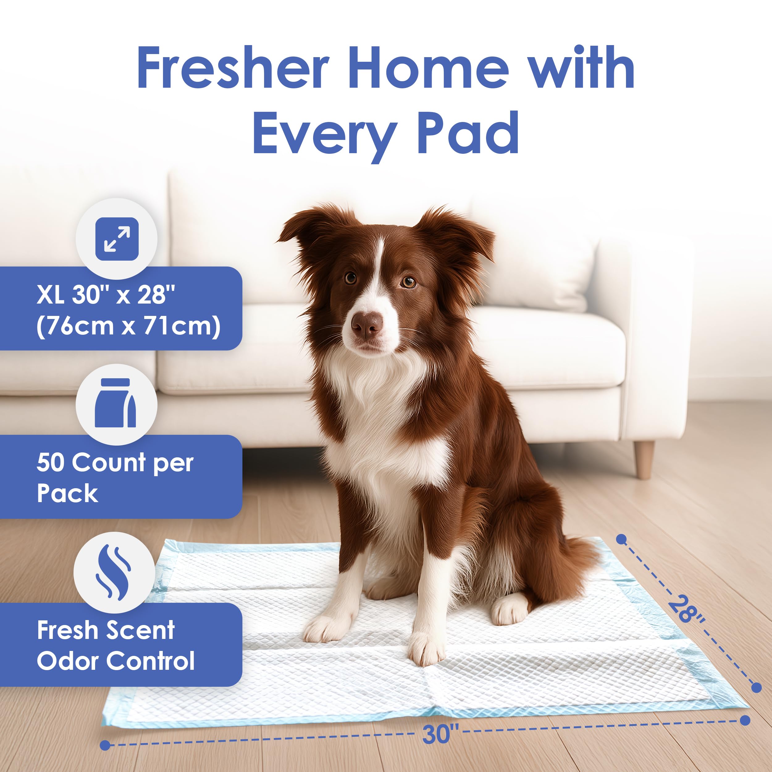 Tapete AKC con gel ultra absorbente para evitar manchas en casa.