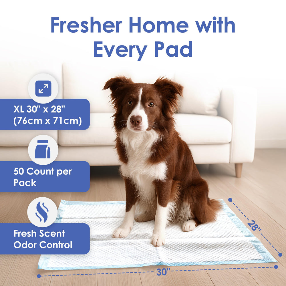 Tapete AKC con gel ultra absorbente para evitar manchas en casa.