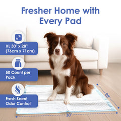 Tapete AKC con gel ultra absorbente para evitar manchas en casa.