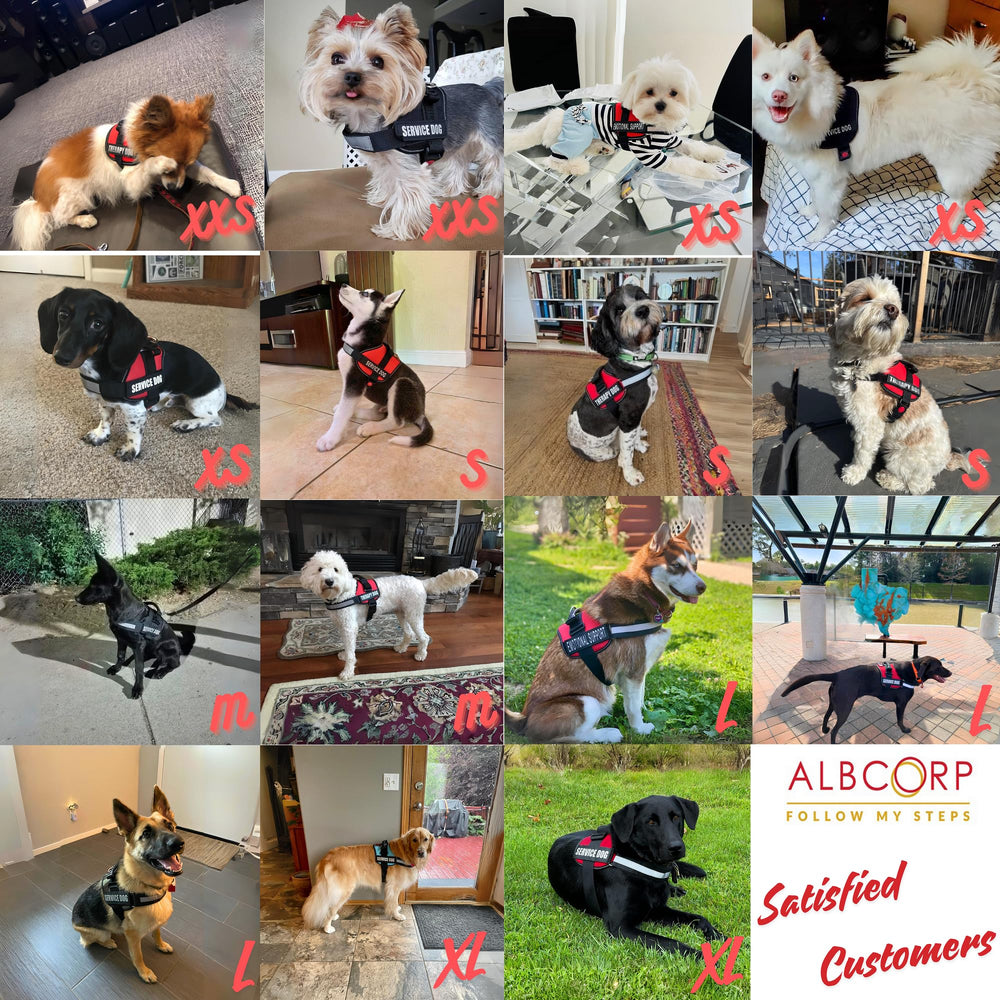 ALBCORP arnés servicio perro ajuste pecho cómodo y seguro