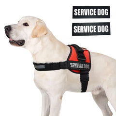 ALBCORP arnés servicio perro con anilla D de acero inoxidable para mayor control