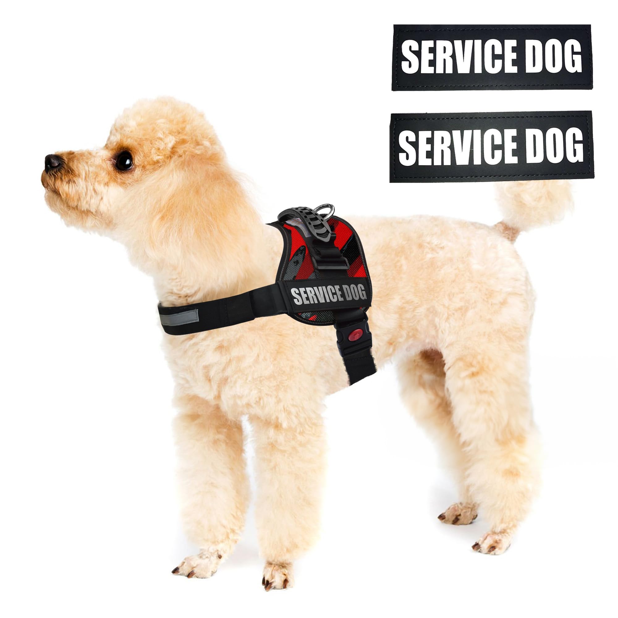 ALBCORP arnés de servicio para perro sin tirones para paseos más tranquilos.