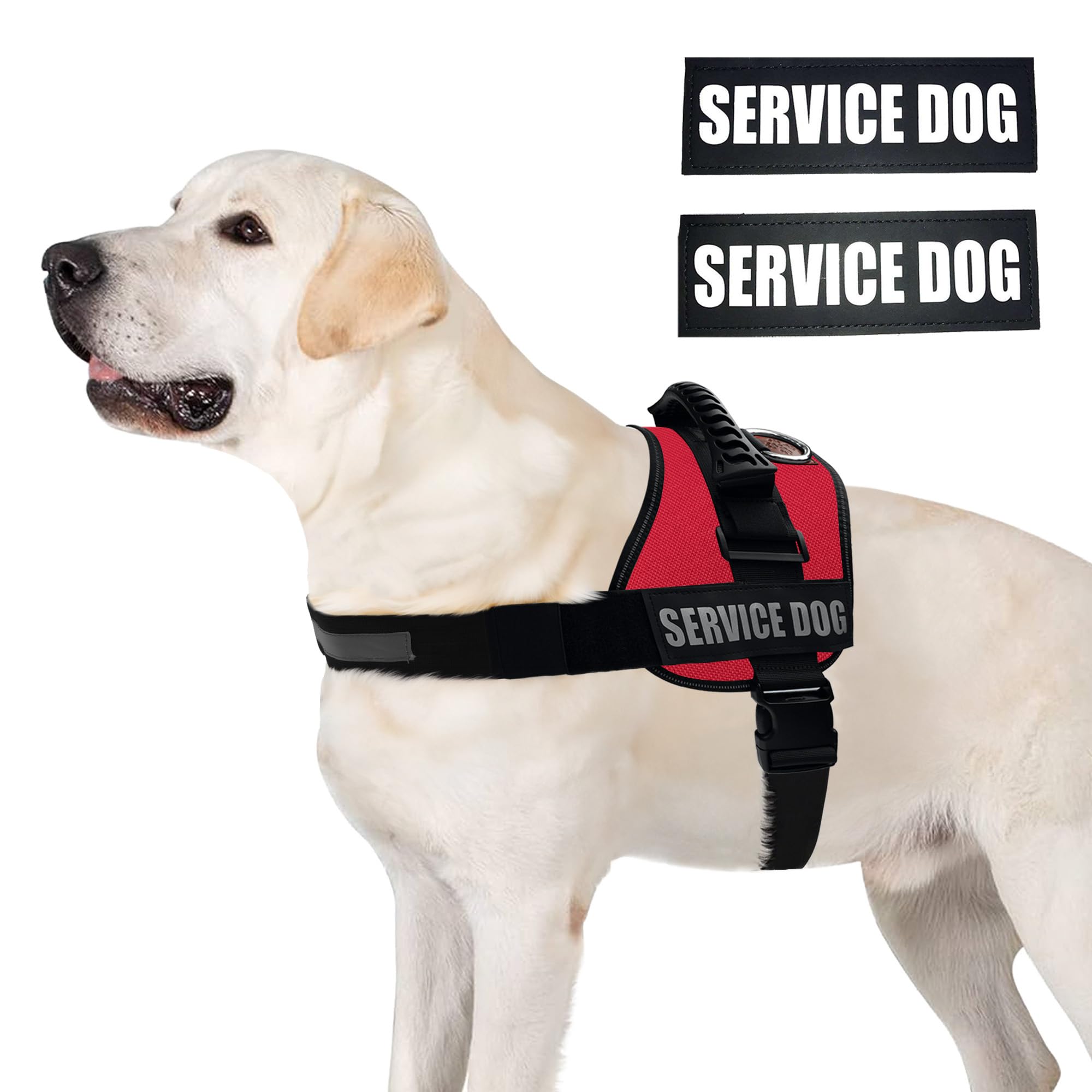 ALBCORP arnés servicio perro rango tallas XXS-XL