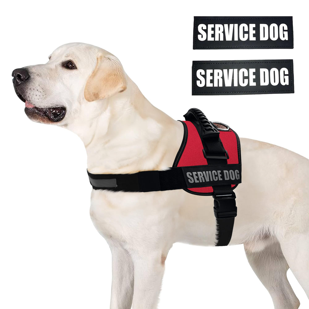 ALBCORP arnés servicio perro rango tallas XXS-XL