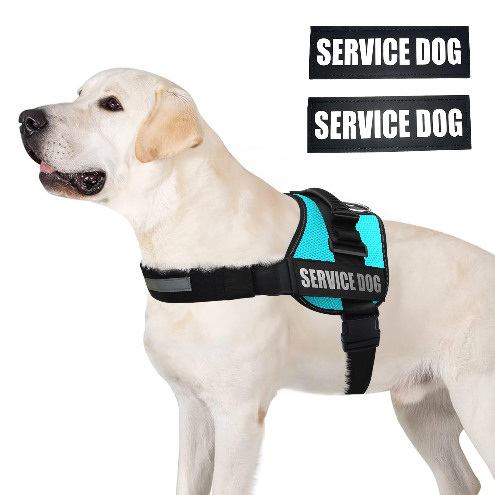 ALBCORP arnés de servicio con asa para control seguro en espacios públicos.