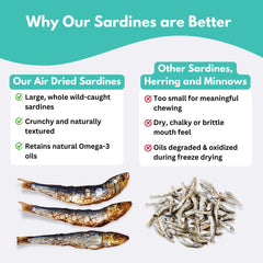 ALFIE'S TREATOS Sardinas en envase reutilizable para frescura.