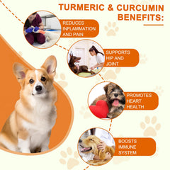 ALIVO Cúrcuma para perros, tomando una cápsula, sistema inmunológico potencial